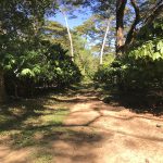 La rete vendita Artebianca alla scoperta delle piantagioni del Madagascar
